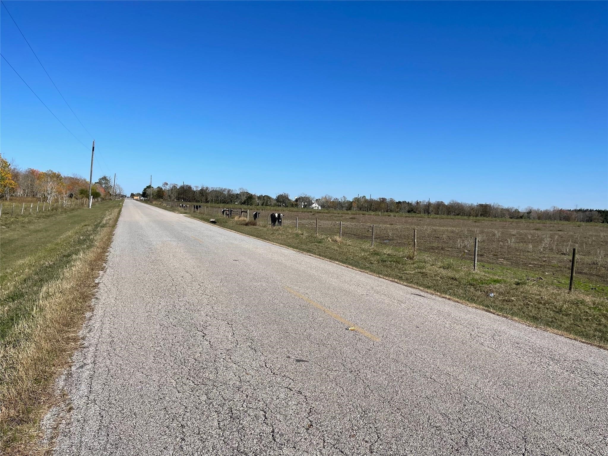 0 Dannhaus Road Needville, TX 77461 - Photo 12 of 21 Gallery Image 12