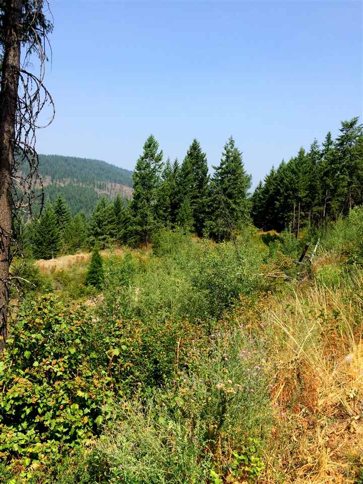 1571 Comstock Mine Road Colville, WA 99114 - Photo 12 of 20 Gallery Image 12