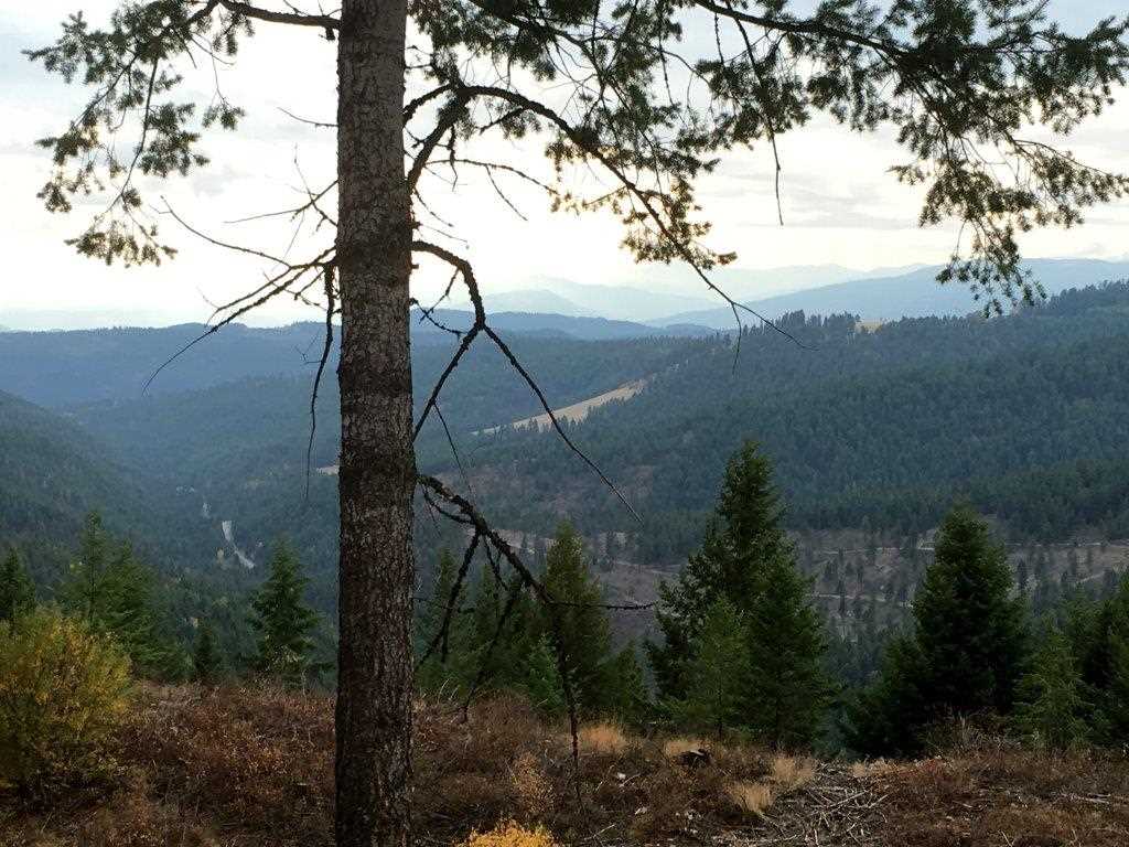 1571 Comstock Mine Road Colville, WA 99114 - Photo 20 of 20 Gallery Image 20