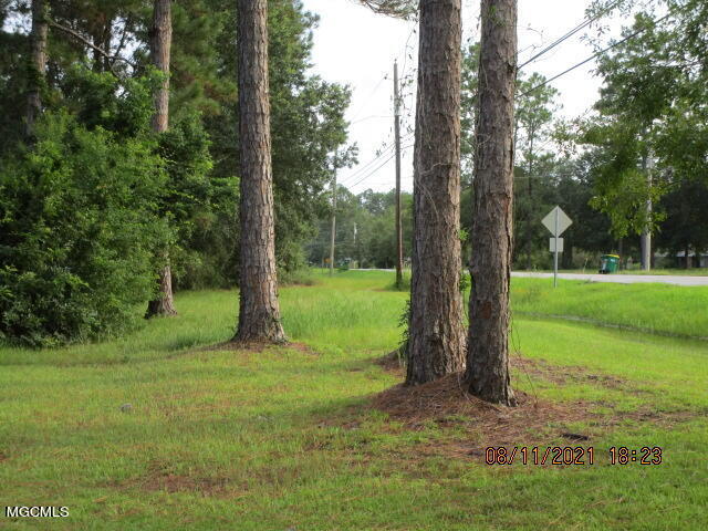 13510 Saracennia Road Moss Point, MS 39562 - Photo 3 of 3 IMG_4897
