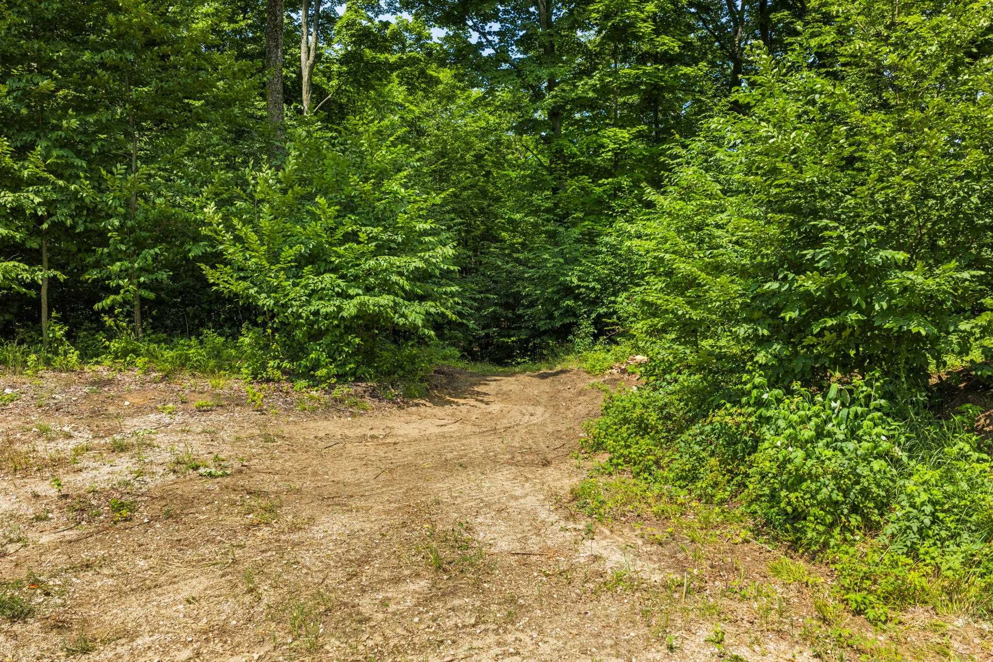 10550 South Cedar Road Cedar, MI 49621 - Photo 23 of 46 1947647-f19249ff-e2e4-44a8-9a49-5d3d9d8753cf.JPG