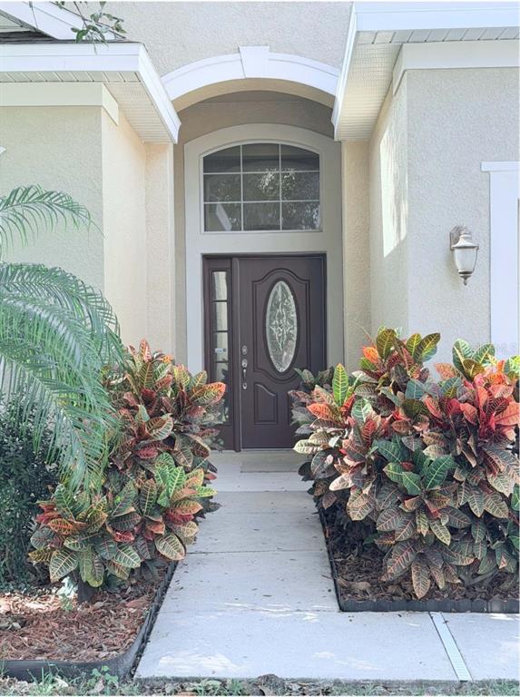 12715 Whitney Meadow Way Riverview, FL 33578 - Photo 3 of 17