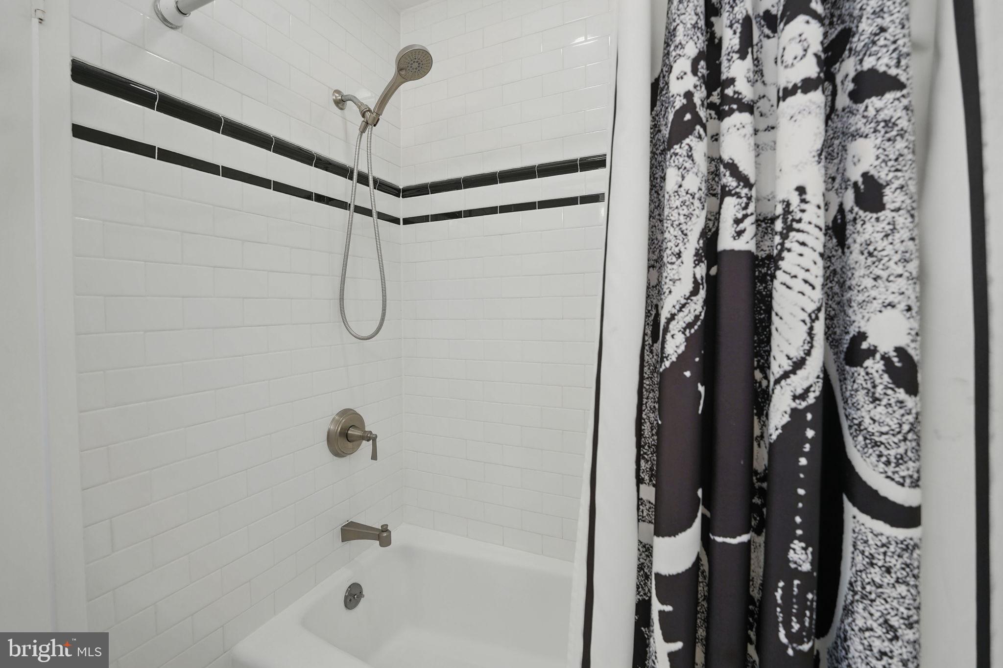11817 Blue Spruce Road Reston, VA 20191 - Photo 36 of 62 Hall Shower