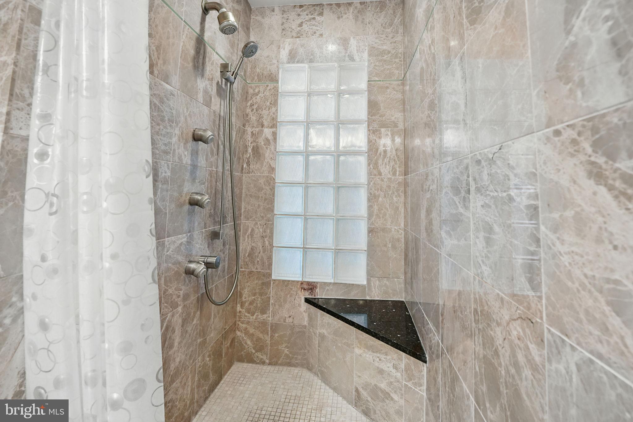11817 Blue Spruce Road Reston, VA 20191 - Photo 47 of 62 Primary Shower