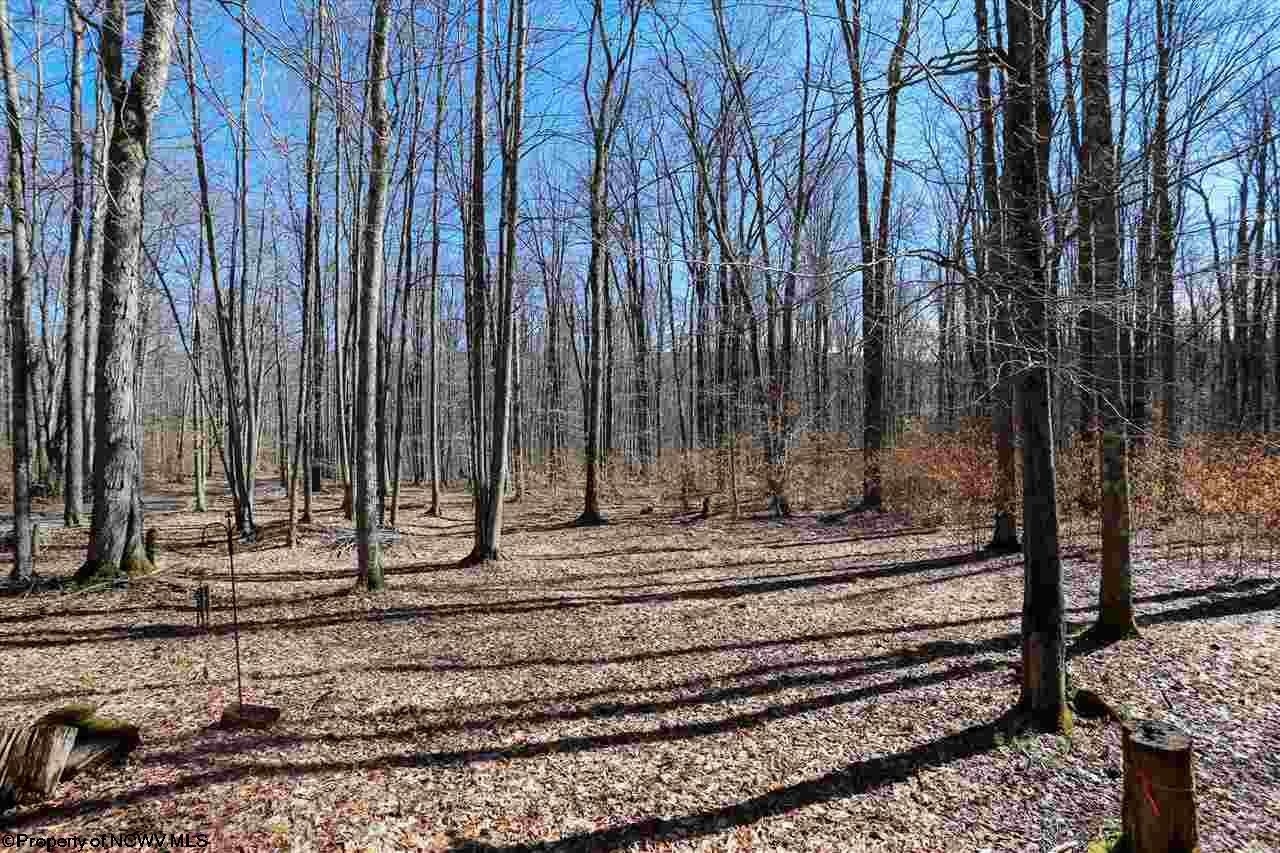1121 Lakeview Road Davis, WV 26260 - Photo 17 of 20 Gallery Image 17