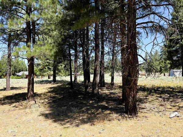 $12,500 | 0 Maple Way, Susanville, CA 96130
