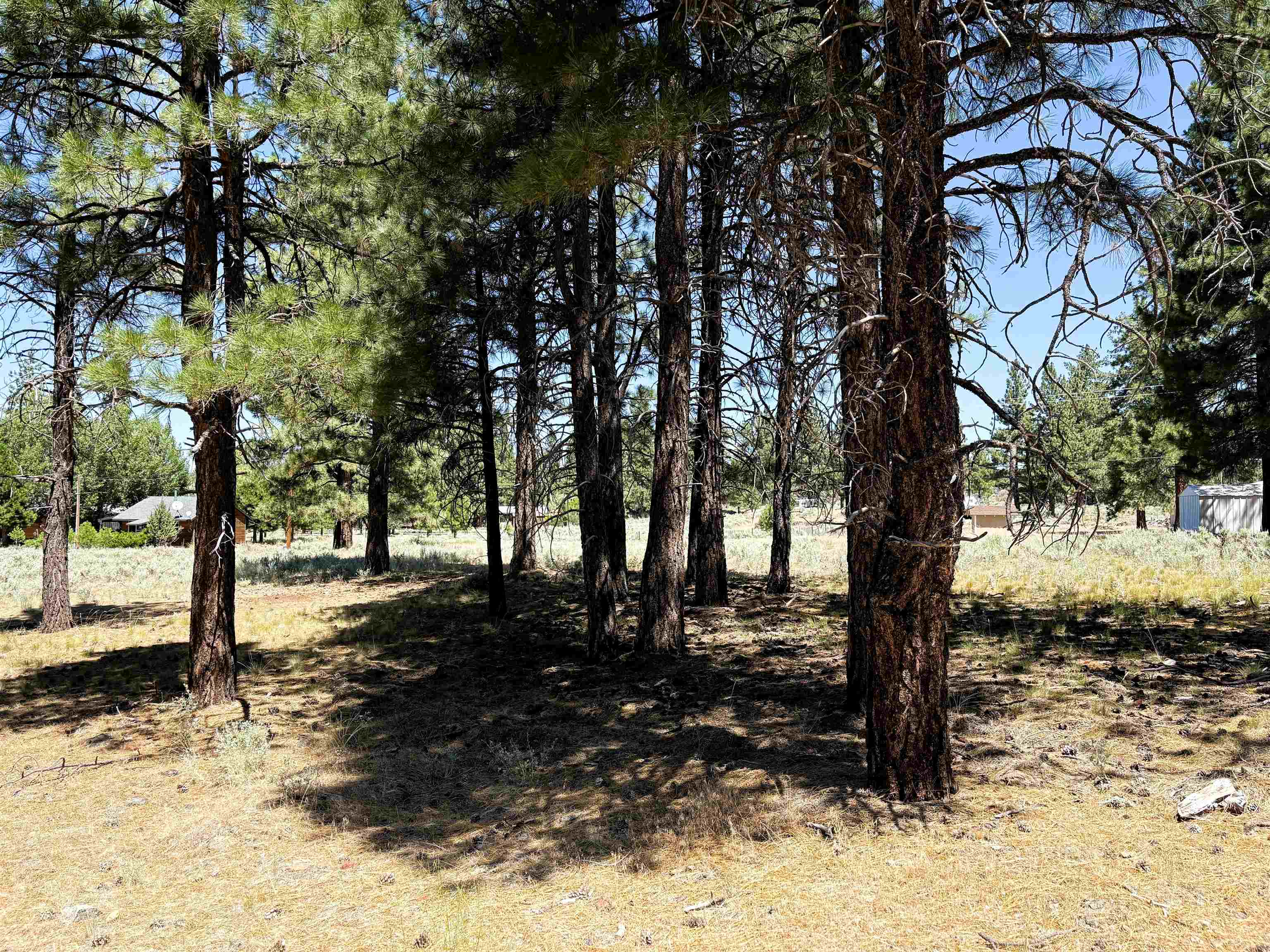 0 Maple Way Susanville, CA 96130 - Photo 1 of 4