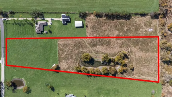 a view of a park with large trees and plants