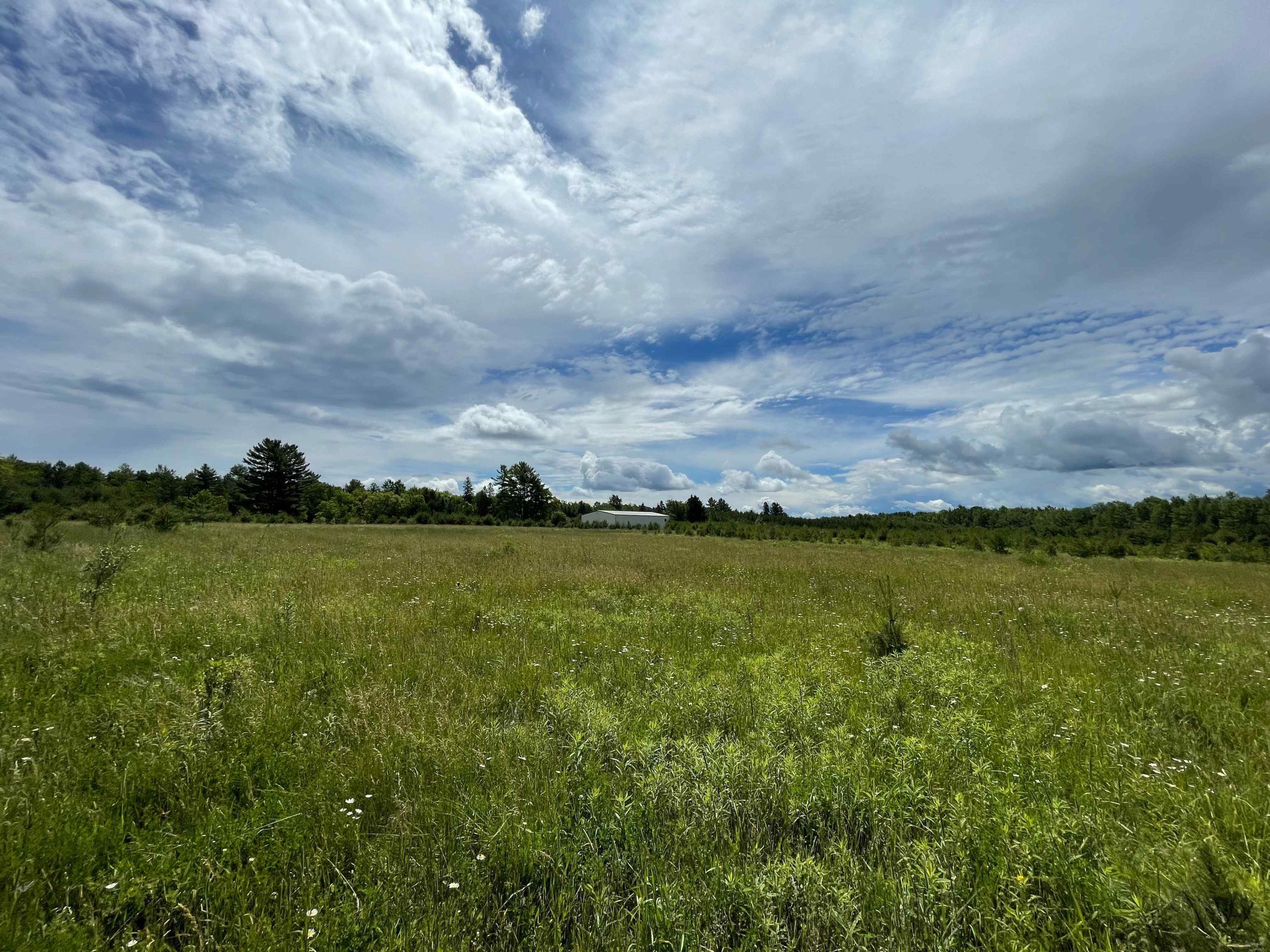 Gaynor Road Cheboygan, MI 49721 - Photo 49 of 71 IMG_1947