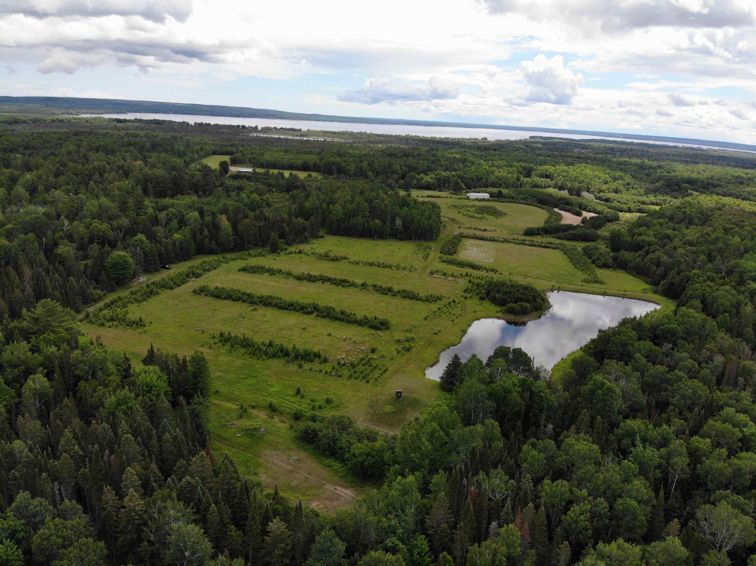 Gaynor Road Cheboygan, MI 49721 - Photo 51 of 71 DJI_0531