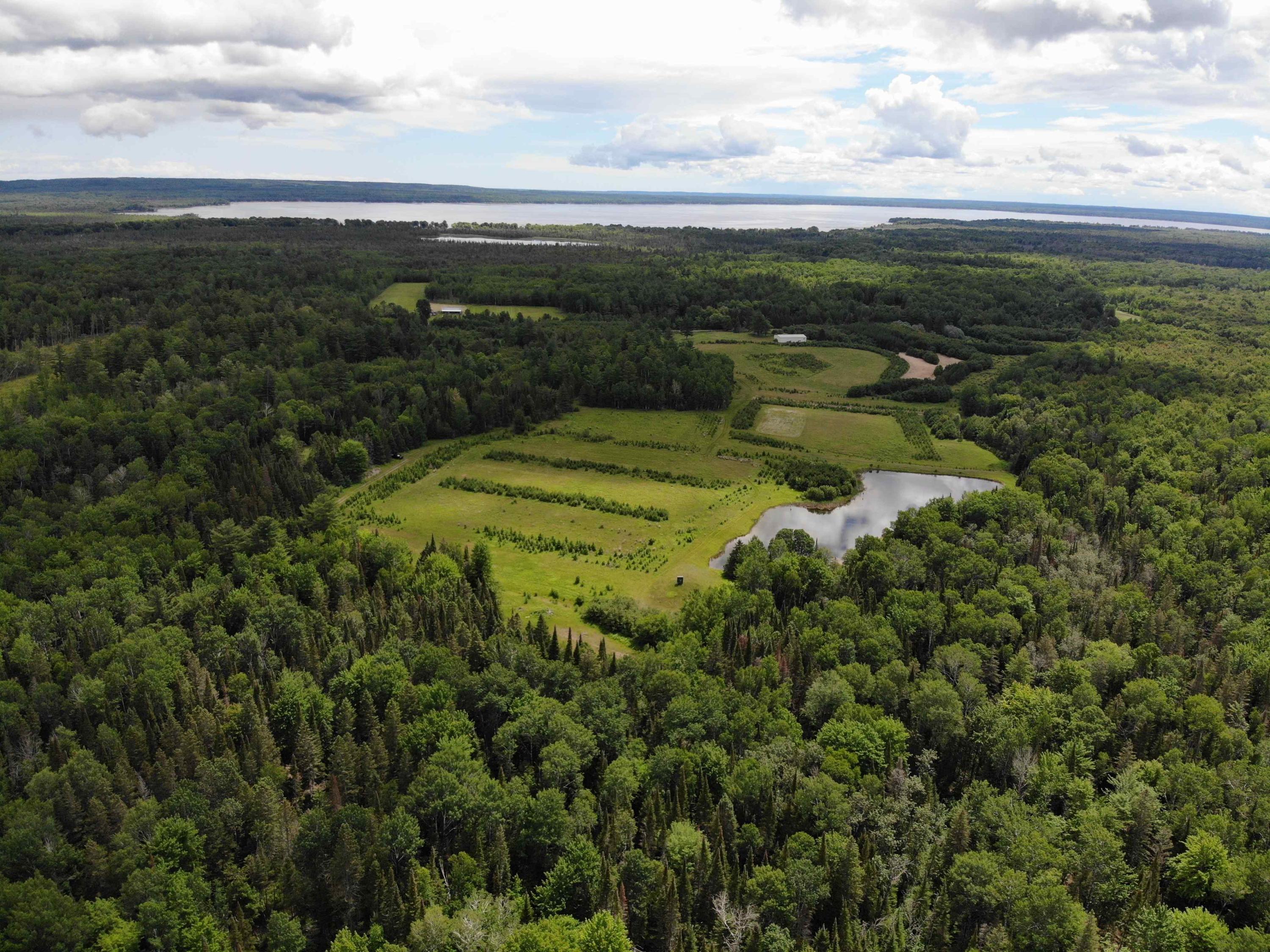 Gaynor Road Cheboygan, MI 49721 - Photo 56 of 71 DJI_0537