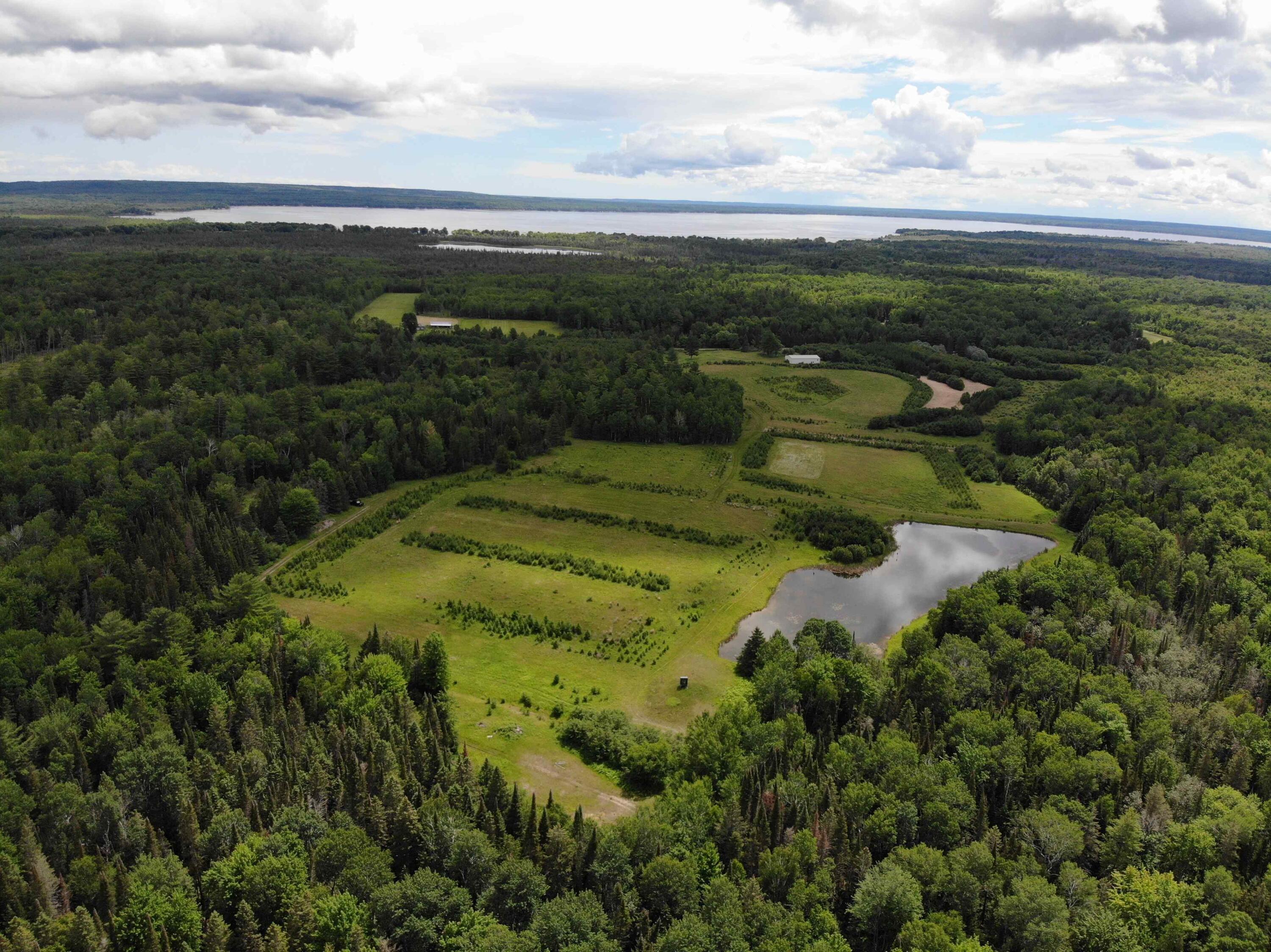 Gaynor Road Cheboygan, MI 49721 - Photo 7 of 71 DJI_0536