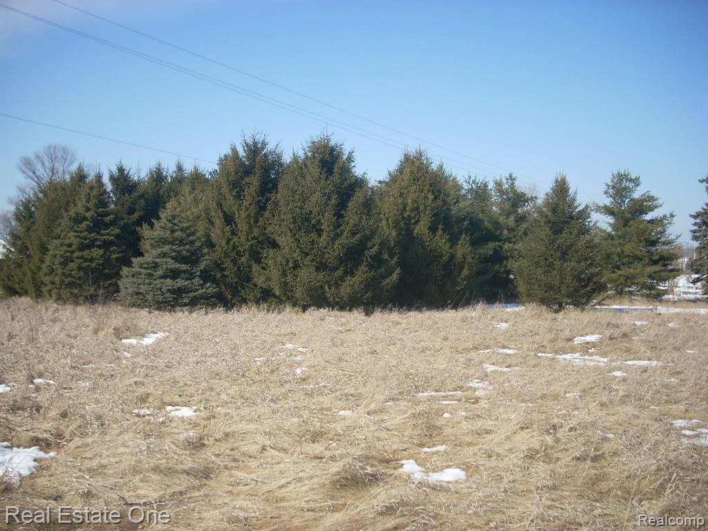 Par A Lamb Road Manchester, MI 48158 - Photo 4 of 5 Gallery Image 4