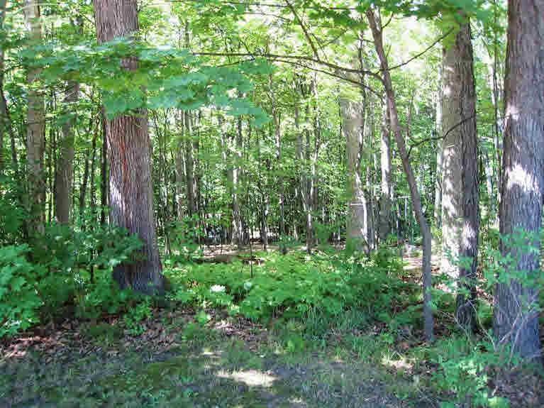 0 Thompson Howell, MI 48843 - Photo 4 of 12