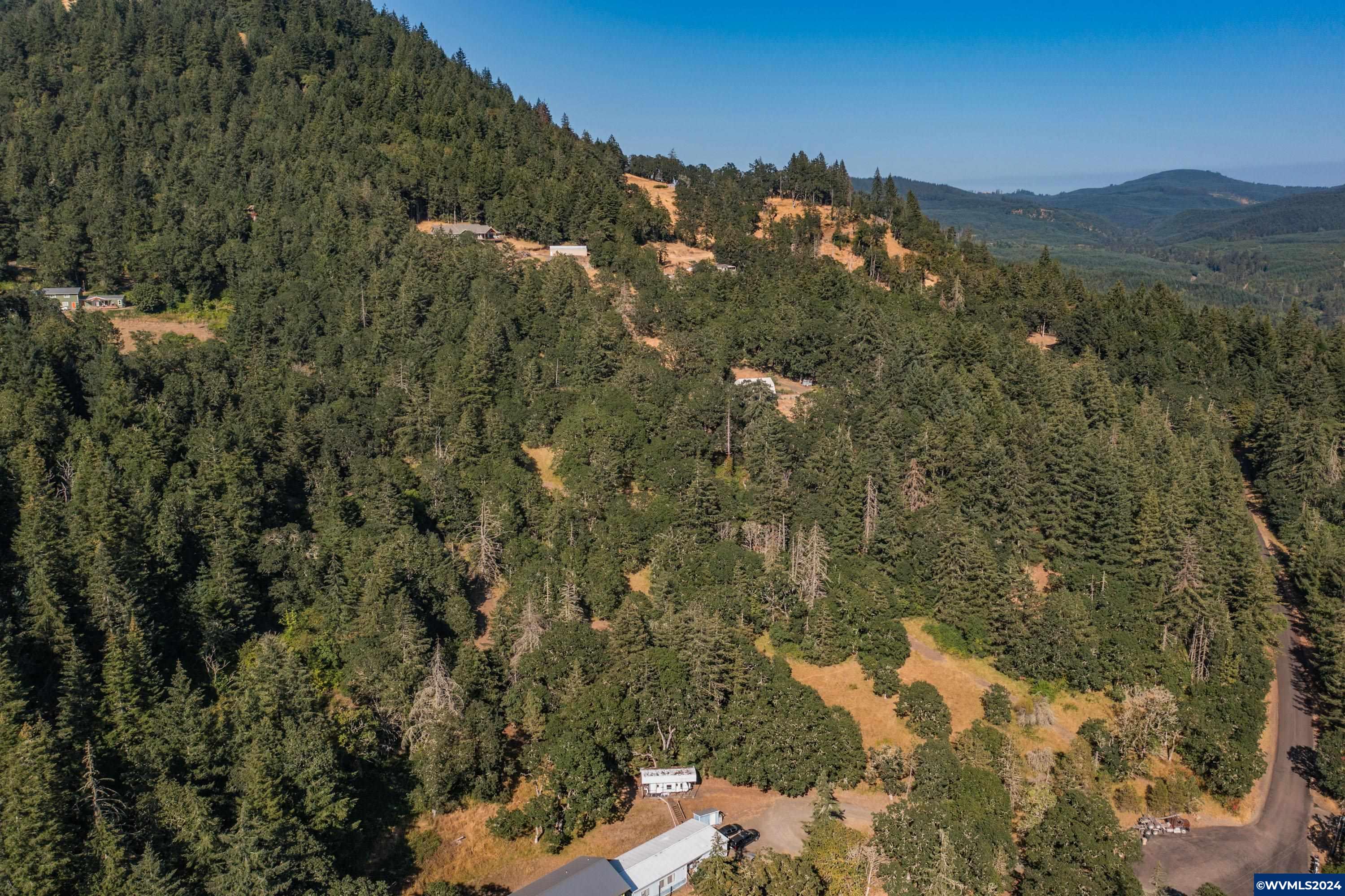 28920 Sheep Head Road Brownsville, OR 97327 - Photo 10 of 32