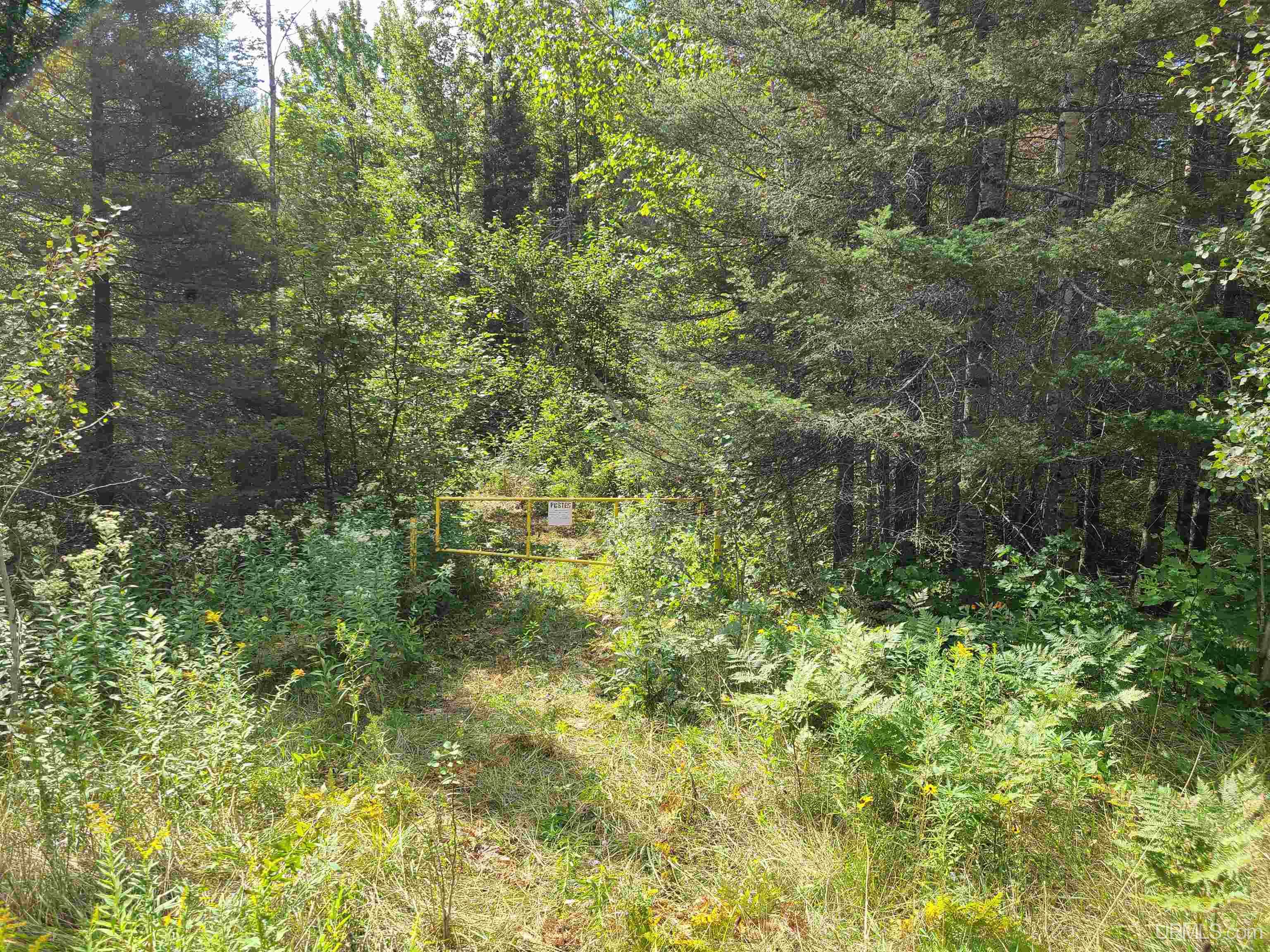 W1322 Co Road Felch, MI 49831 - Photo 13 of 17
