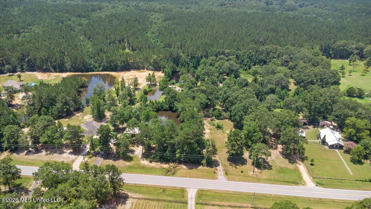 993 Highway 29 Wiggins, MS 39577 - Photo 59 of 59 59-DJI_0192