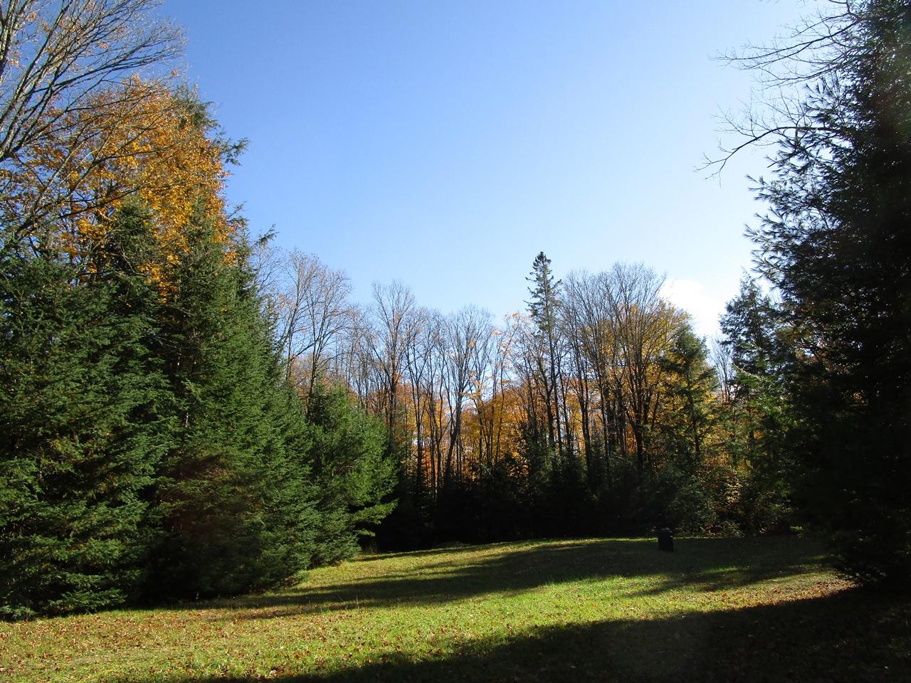 2935 Grant Lake Road Park Falls, WI 54552 - Photo 5 of 23 Gallery Image 5
