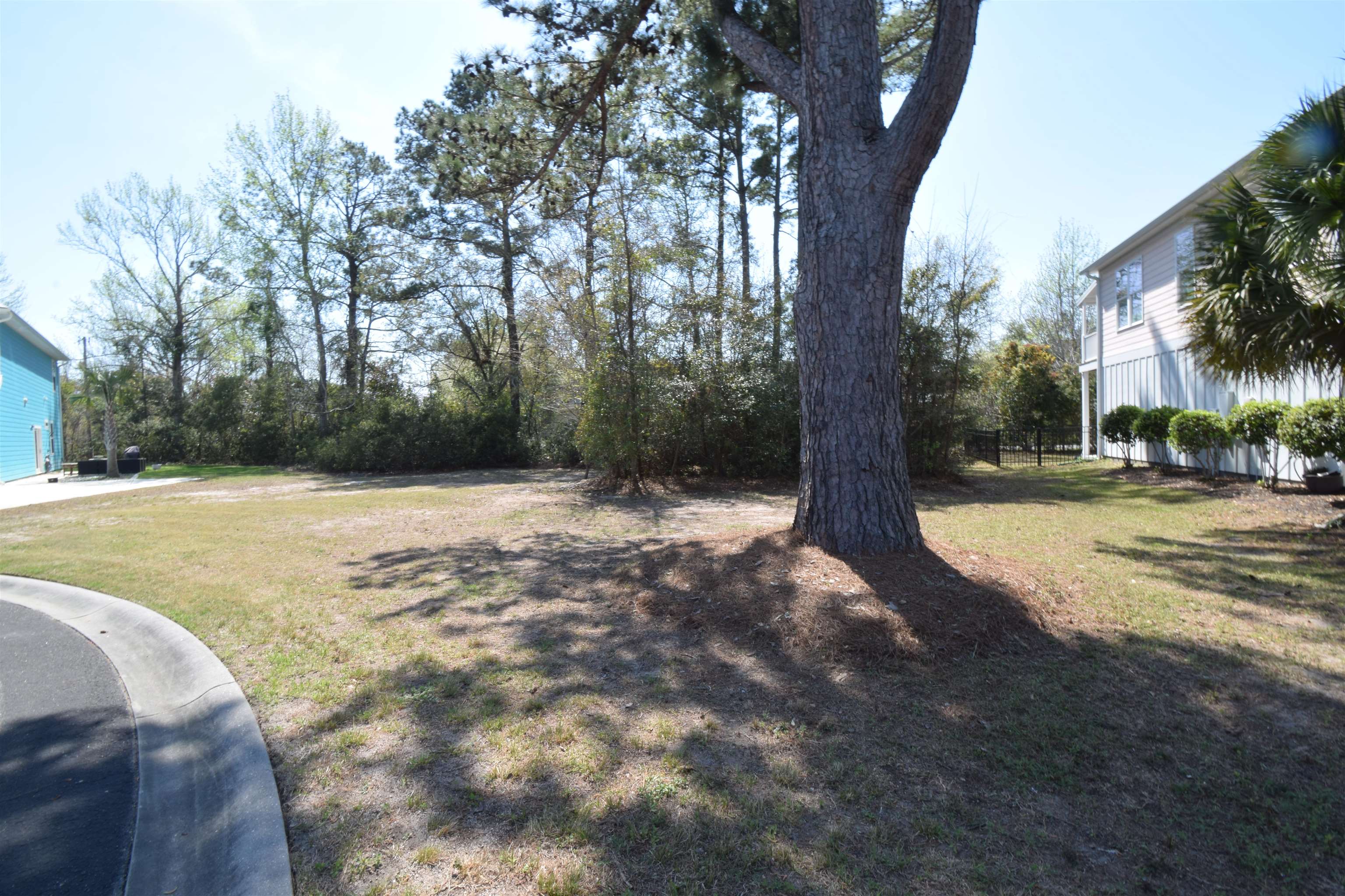 176 Lake Pointe Drive Murrells Inlet, SC 29576 - Photo 18 of 20 Gallery Image 18