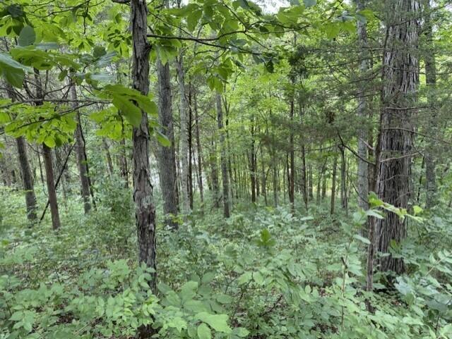 0 Kelly Ridge Road Irvine, KY 40336 - Photo 37 of 39 8
