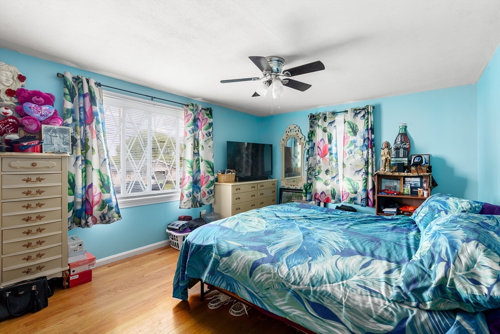 41 Pine Grove Street Springfield, MA 01119 - Photo 12 of 30 Gallery Image 12