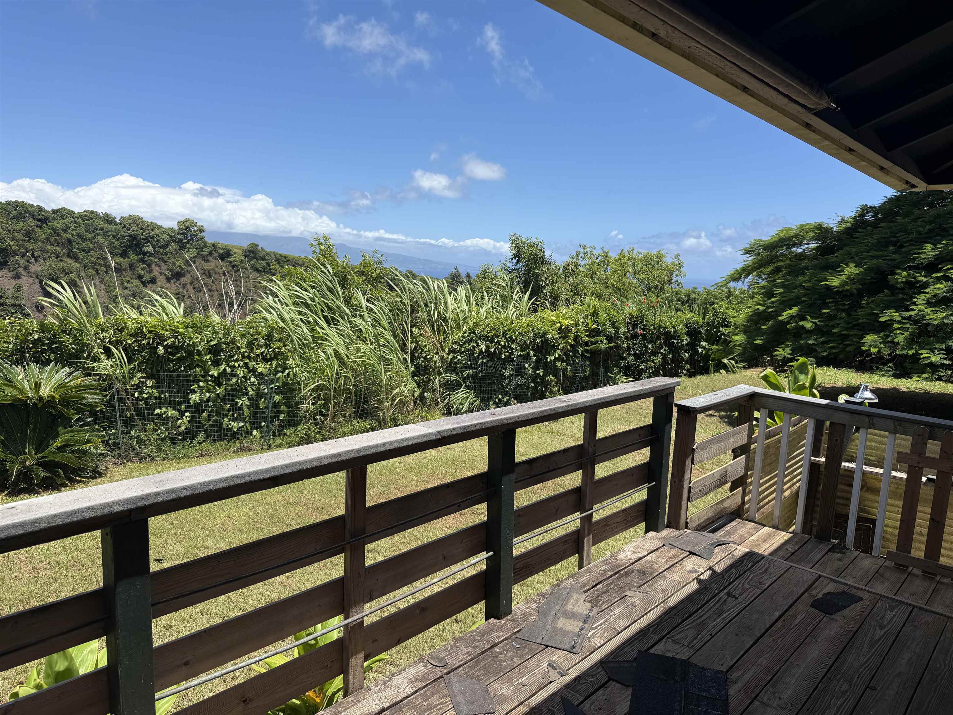 1490 Kokomo Road Haiku, HI 96708 - Photo 9 of 19