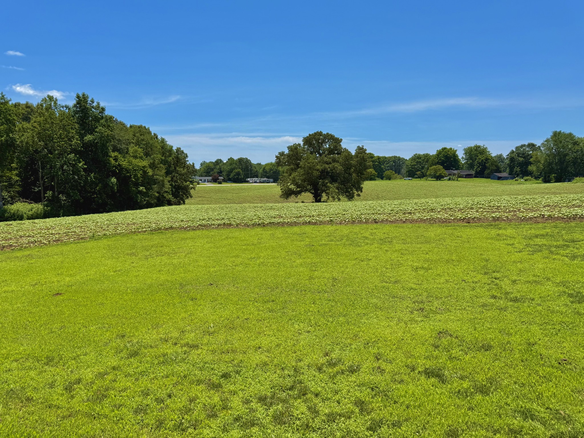 8 Lambs Ferry Road Leoma, TN 38468 - Photo 10 of 53