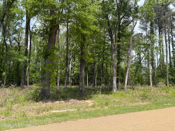 $315,000 | Bridgewater Bend, Ridgeland, MS 39157