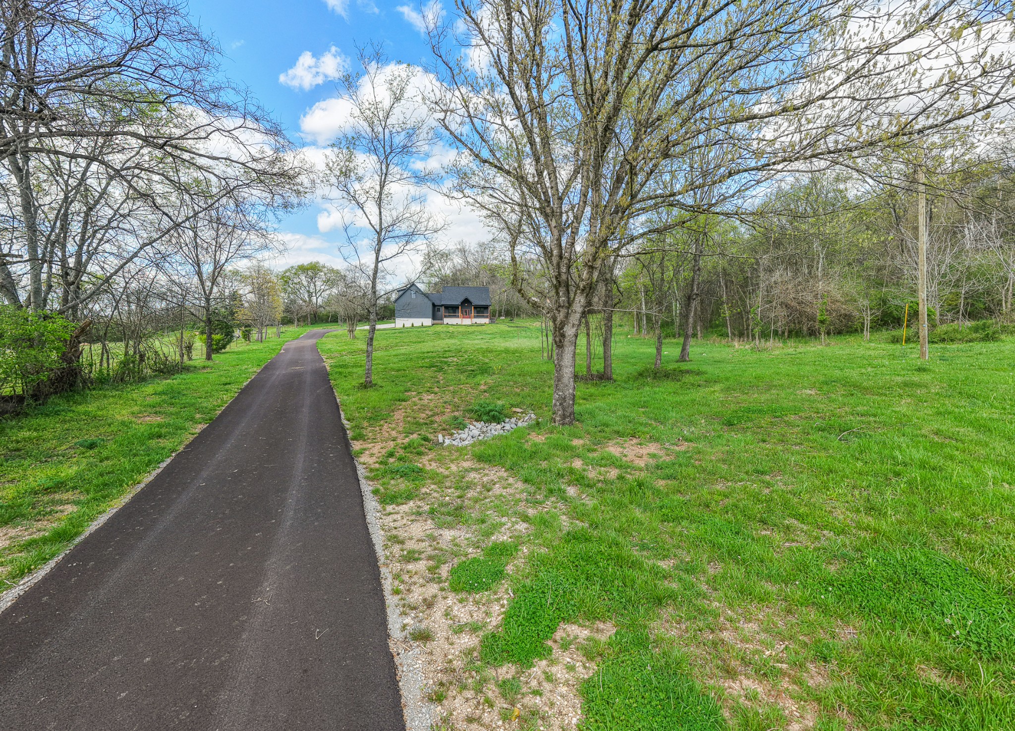 8415 West Sheepneck Road Mount Pleasant, TN 38474 - Photo 12 of 40 a view of a park with large trees
