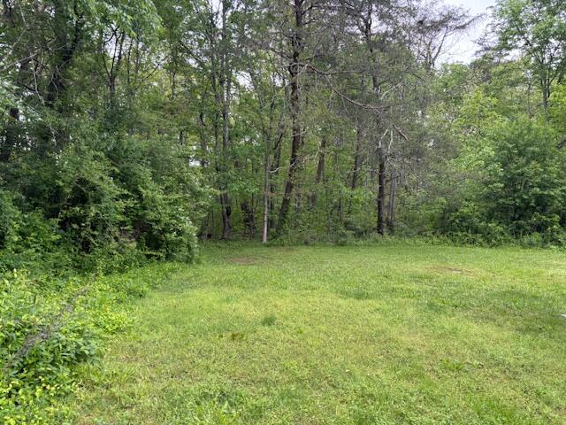 337 Bellview Road Pikeville, TN 37367 - Photo 23 of 26 IMG_7732