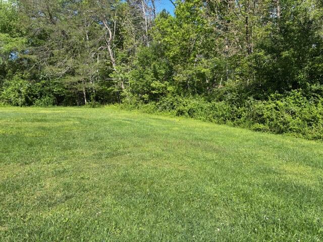 337 Bellview Road Pikeville, TN 37367 - Photo 25 of 26 IMG_7751