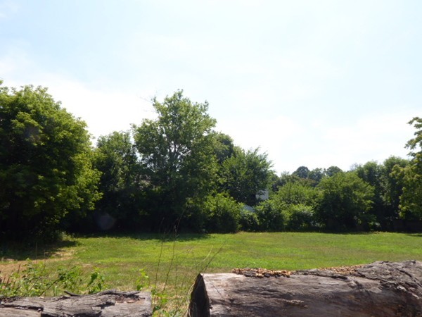 489 Hancock Street Springfield, MA 01105 - Photo 2 of 8