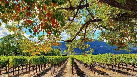 $1,295,000 | 5 Forrester Lane, Yountville, CA 94599