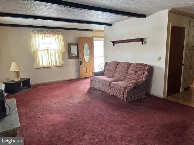 281 Mt Pleasant Road Hanover, PA 17331 - Photo 14 of 32 Lots of space for family