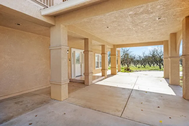 a living room with furniture potted plant and a large window