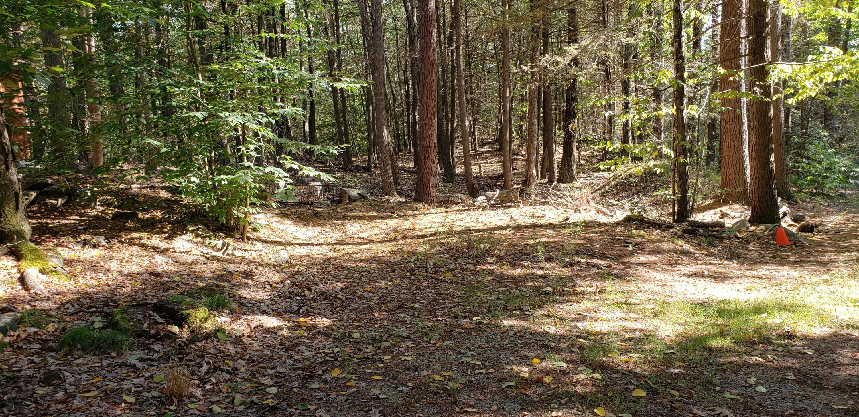 65 Mountain Road South Berwick, ME 03908 - Photo 24 of 27 20200820_155544
