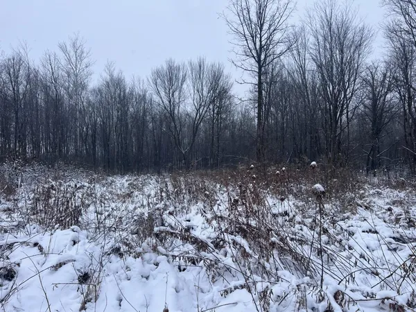 $154,900 | 52 40th Street, Clear Lake, WI 54005