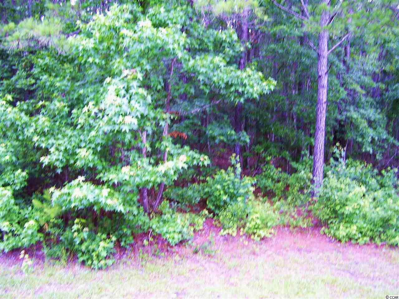 3404 Dewitt Road Longs, SC 29568 - Photo 13 of 14 Gallery Image 13