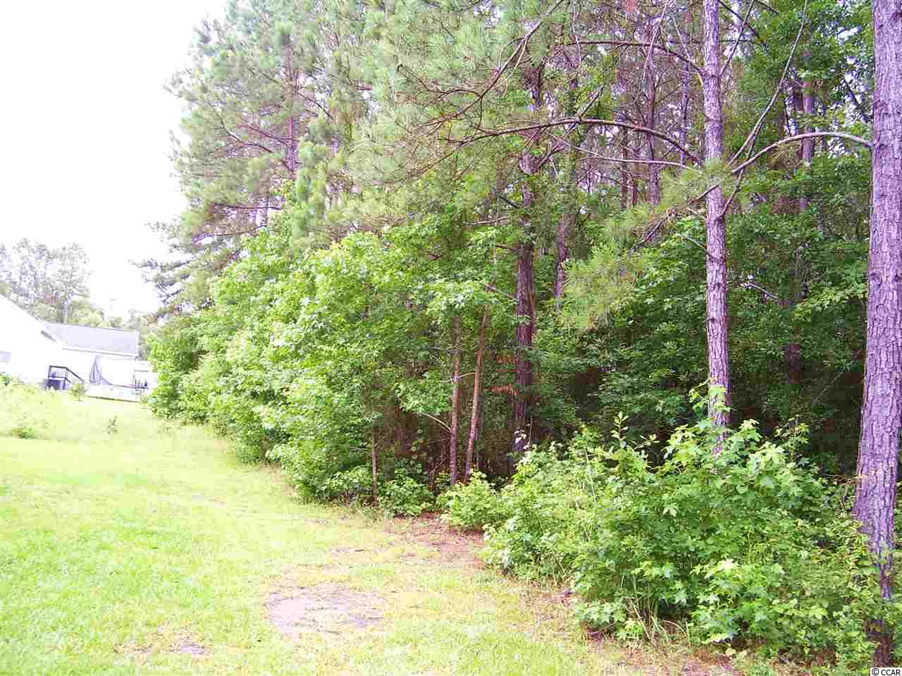 3404 Dewitt Road Longs, SC 29568 - Photo 14 of 14 Gallery Image 14