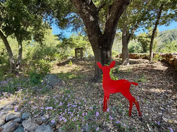 $7,950 | 321 Dutch Henry Canyon Road, Calistoga, CA 94515