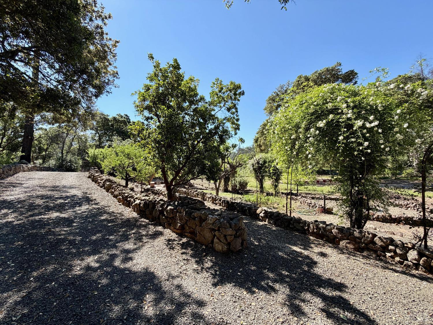 321 Dutch Henry Canyon Road Calistoga, CA 94515 - Photo 37 of 50 a view of a large yard with lots of green space