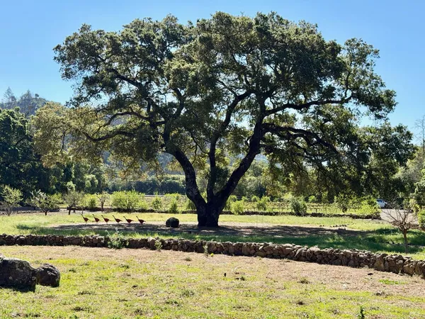 $7,950 | 321 Dutch Henry Canyon Road, Calistoga, CA 94515