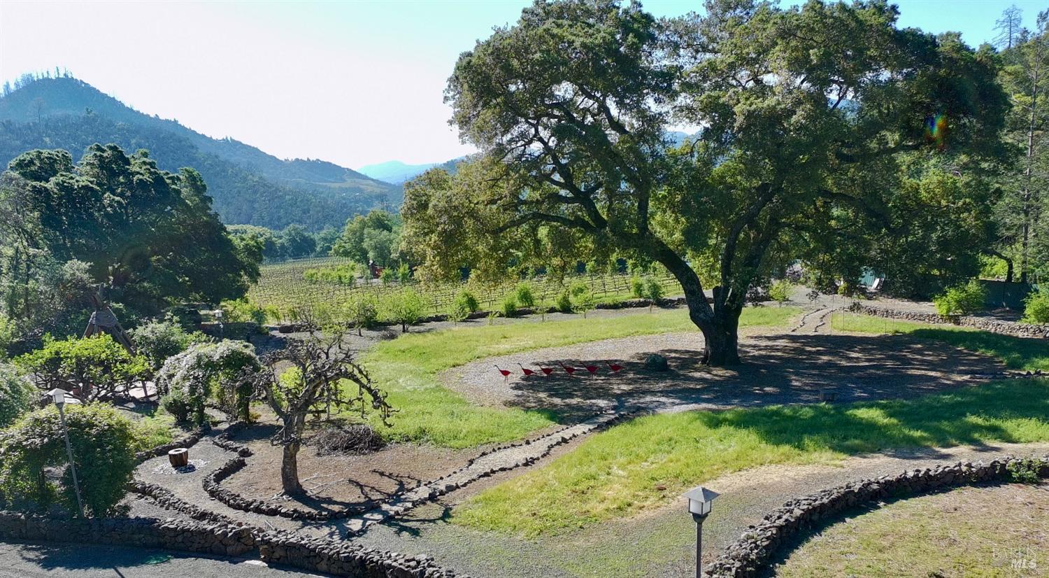321 Dutch Henry Canyon Road Calistoga, CA 94515 - Photo 44 of 50 a view of a garden with a tree
