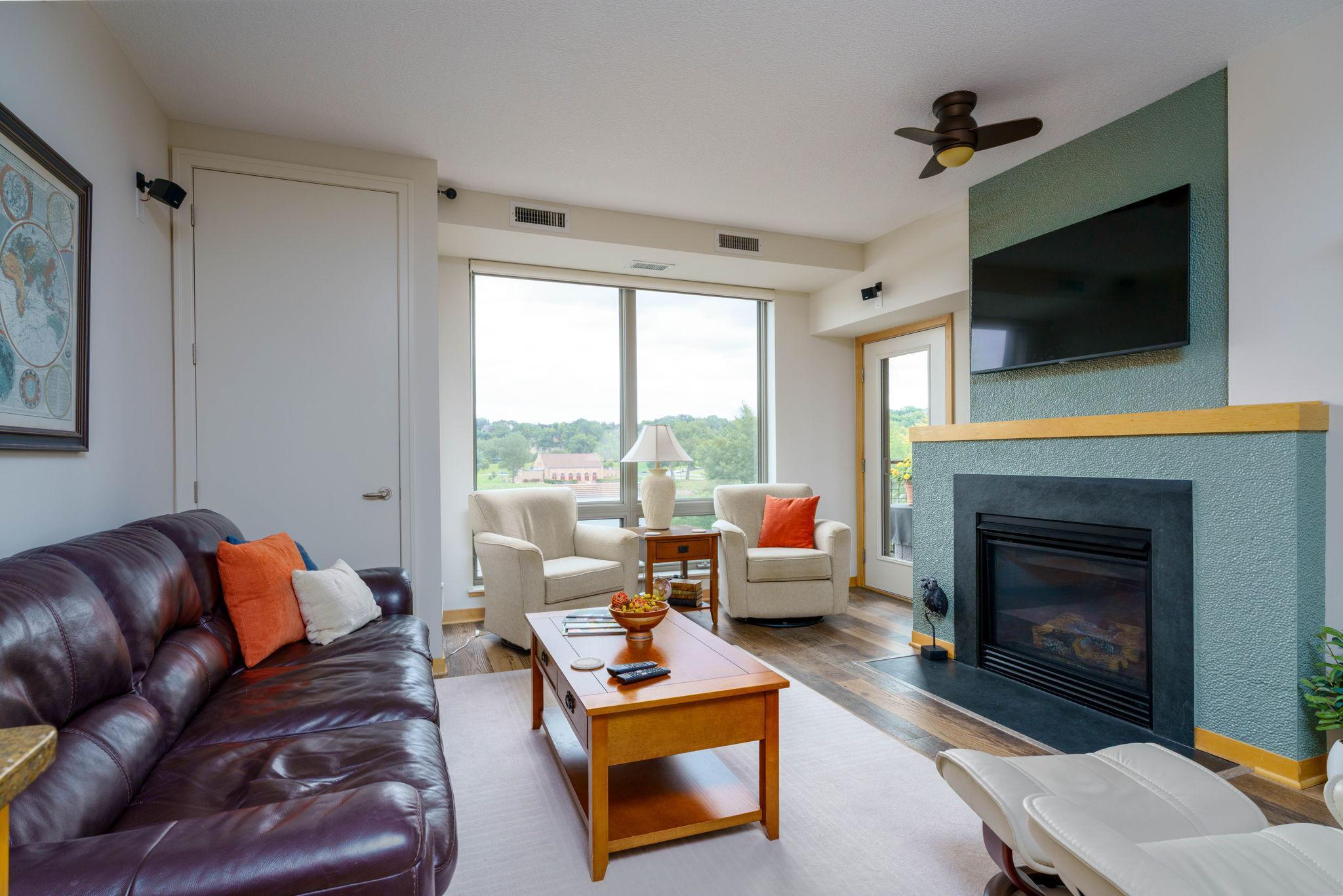 240 Spring Street, Unit 325 St. Paul, MN 55102 - Photo 9 of 18 Gallery Image 9