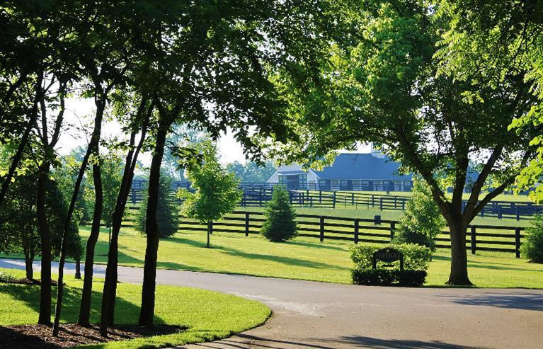 570 Clay Kiser Road Paris, KY 40361 - Photo 21 of 26 Photo 21