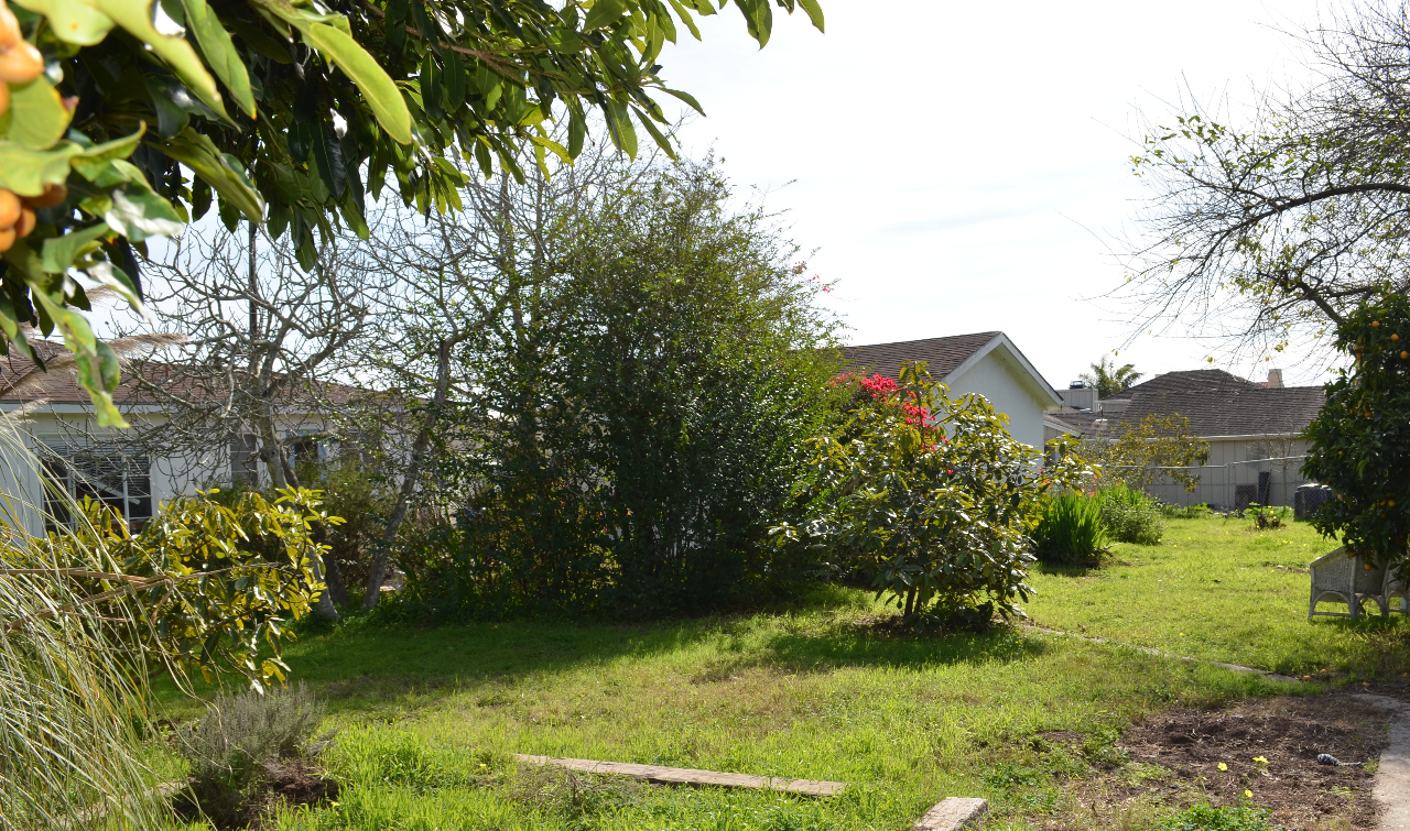 129 Oliver Road Santa Barbara, CA 93109 - Photo 7 of 11 Backyard Toward House, Garage and Ocean