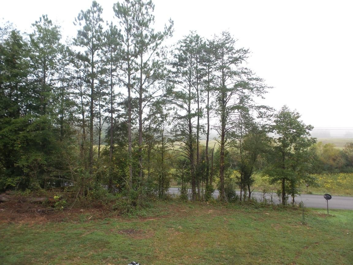 880 No Pone Road Georgetown, TN 37336 - Photo 5 of 19
