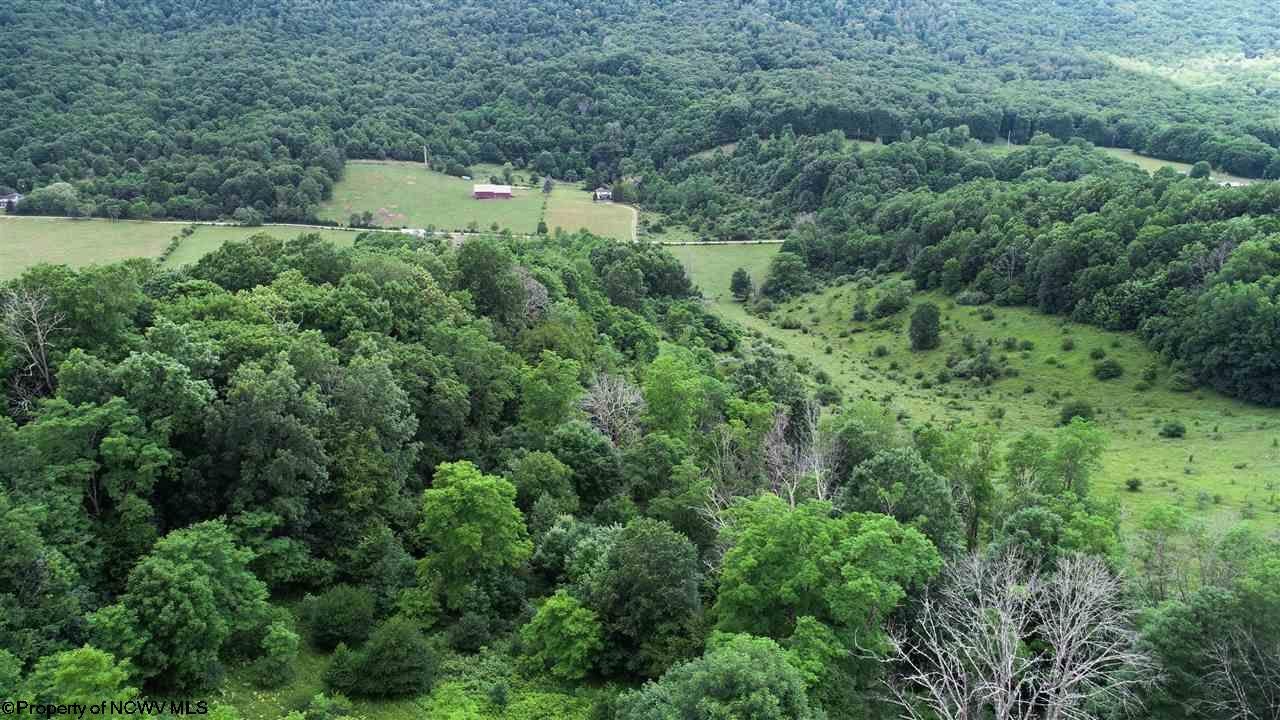 1 Back Mountain Road Durbin, WV 26264 - Photo 9 of 25 Gallery Image 9