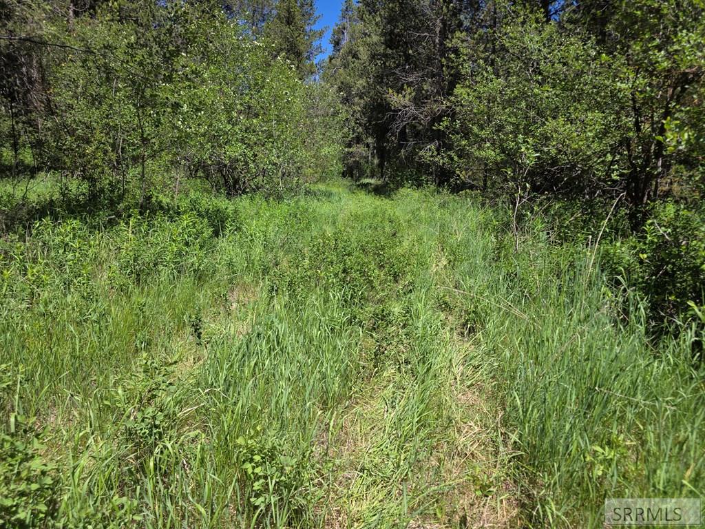 4585 East 1400 Road North Ashton, ID 83420 - Photo 26 of 31