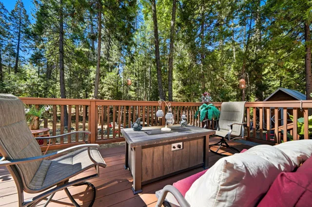 a view of a yard with plants